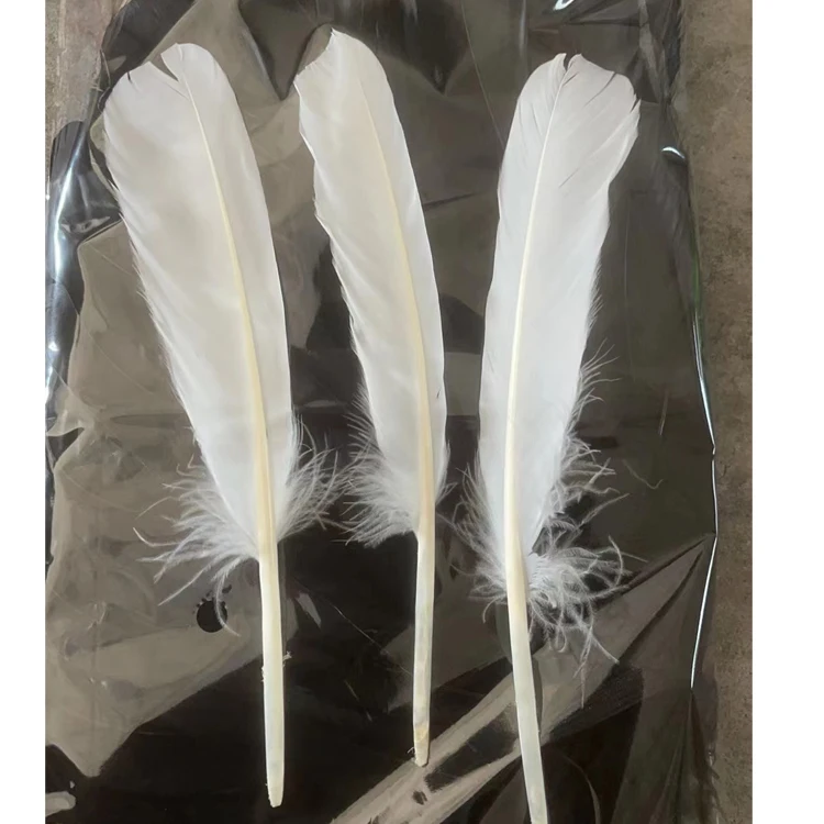 Chinese factories wholesale white goose feather knife feathers used to make badminton  shuttlecock