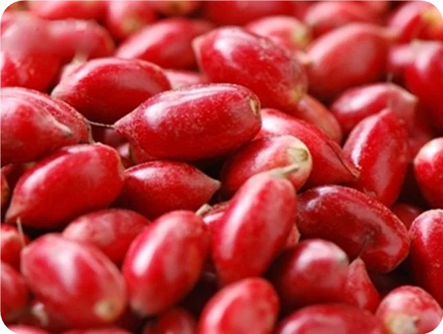 100% натуральный экстракт чудо-фруктов порошок Synsepalum Dulcificum сублимированный чудо-фрукт