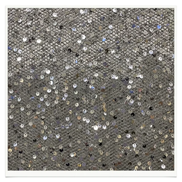 exquisite 5mm silver sequin and silver mesh  Embroidered Sequin fabrics for clothing