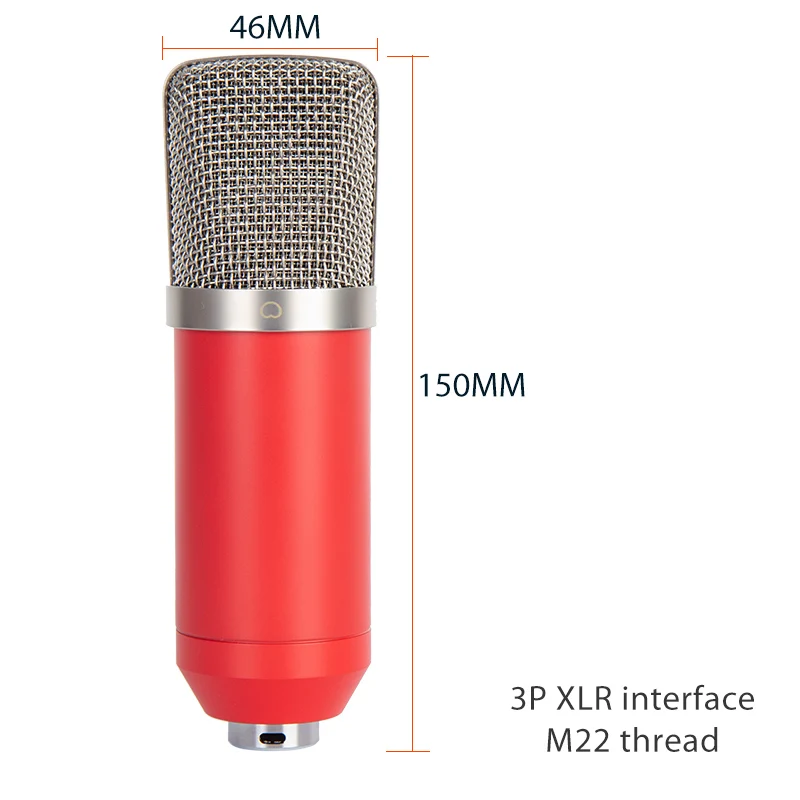 Professional Studio Recording Condenser Microphone and Accessories