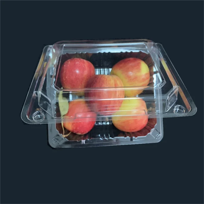 Hot sell vegetables or fruit box trays packing fruit sushi takeout box from professional manufacturer