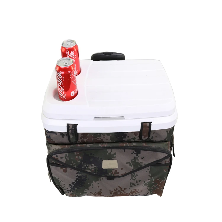 Лидер продаж, портативный пластиковый холодильник Gint для пива, льда, индивидуальный логотип, цветной холодильник с ручкой на колесах