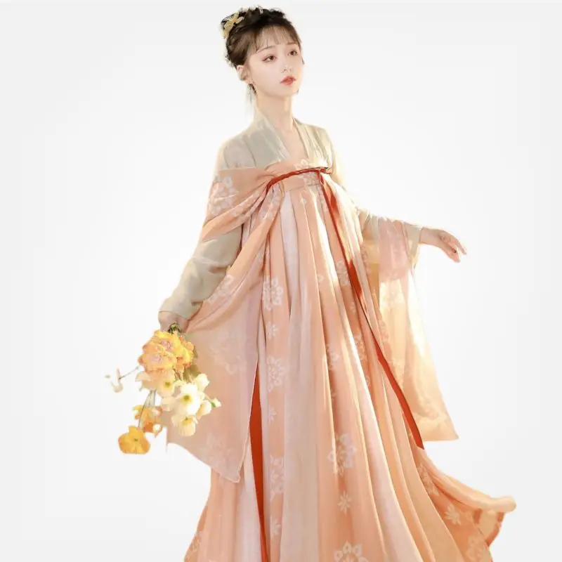 dinasty vestido summer elegant goddess chiffon Customized embroidered hanfu dress