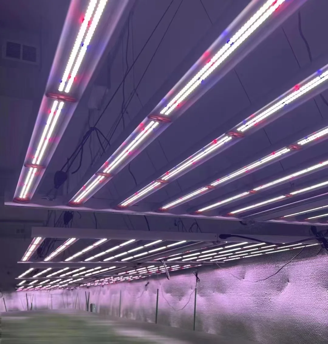 1450W 4*6FT New Fashion Lens Cover Led Grow Light Dimmable CE & ETL Approved for Plant Grow Aluminum Body Full Spectrum 1050W 90