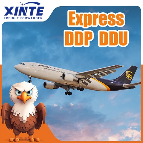 Fast and Cheap Logistics Express Door to Door DDP Service From China to Indonesia Service is Ranked top10 in Shenzhen