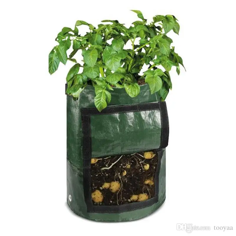 Wholesale Non-woven Nursery Garden Potato Tomato plant bag /garden planting bags/geotextile planting grow bags