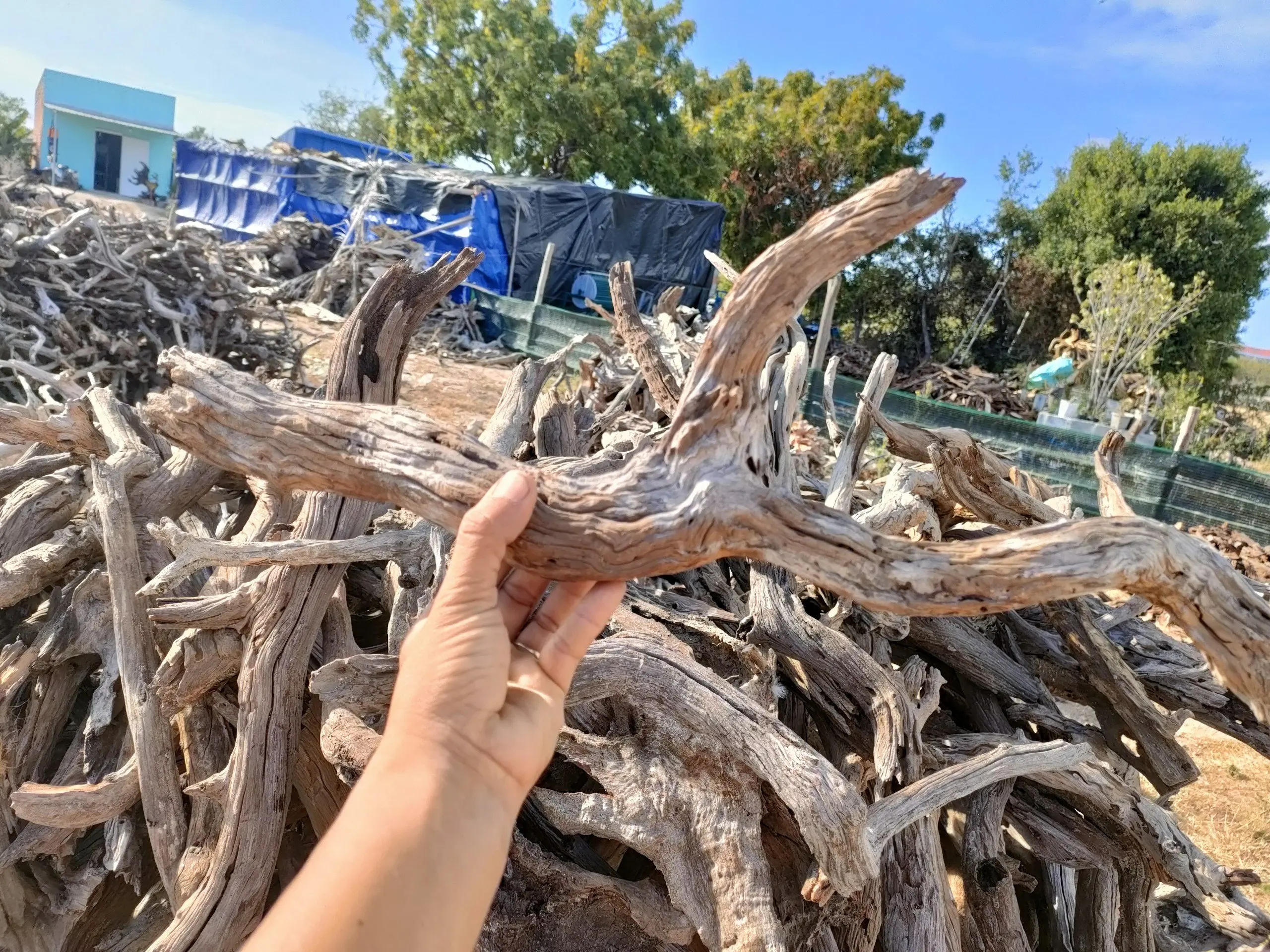 High Quality DRIFTWOOD Ceramics for Aquarium Fish Tank & Stand Most Competitive in Market Sourced in Vietnam