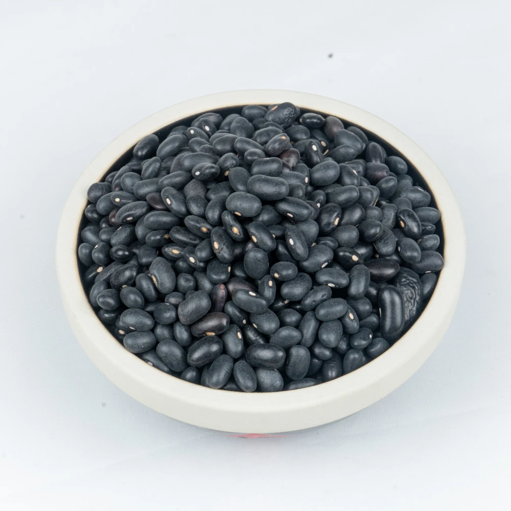 
The export of black bean competitive prices 