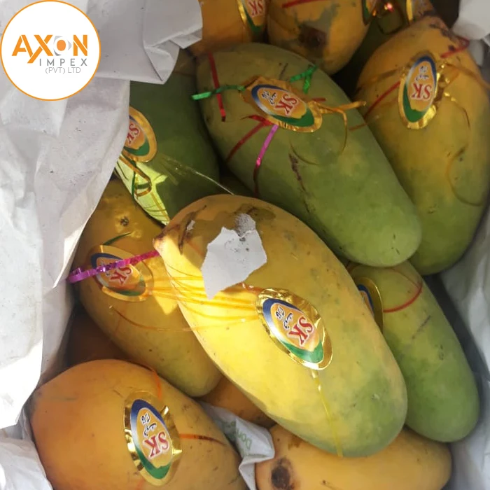 
Fresh Juicy Chaunsa Mangoes For Australia Eu Standards 