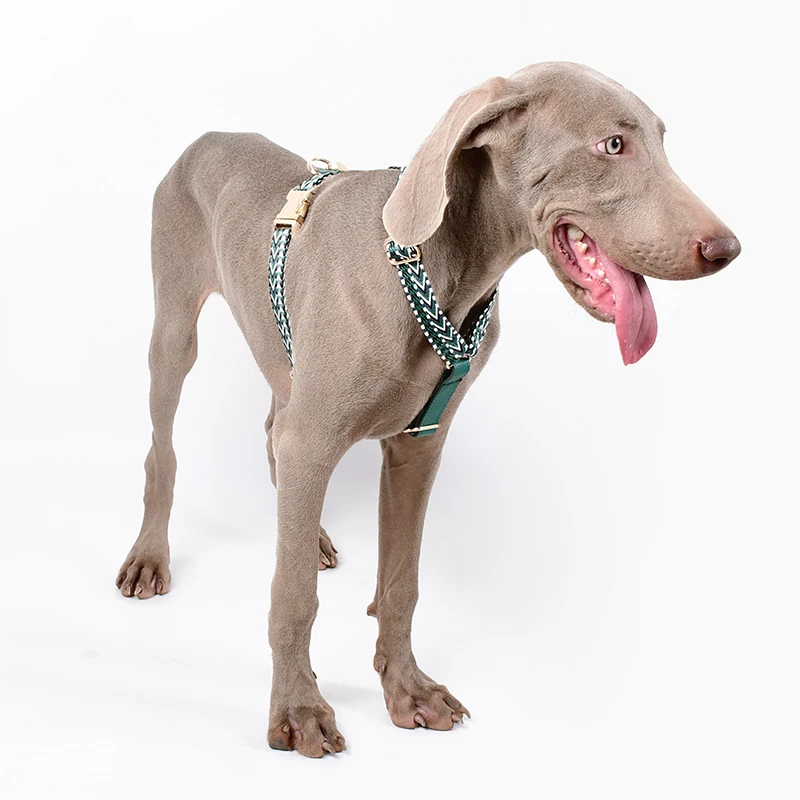 Soft Leather Dog Harness Leash Set Adjustable Wholesale Designer Luxury Heavy Duty Soft Pattern Nylon Pet Rope Leads Stocked