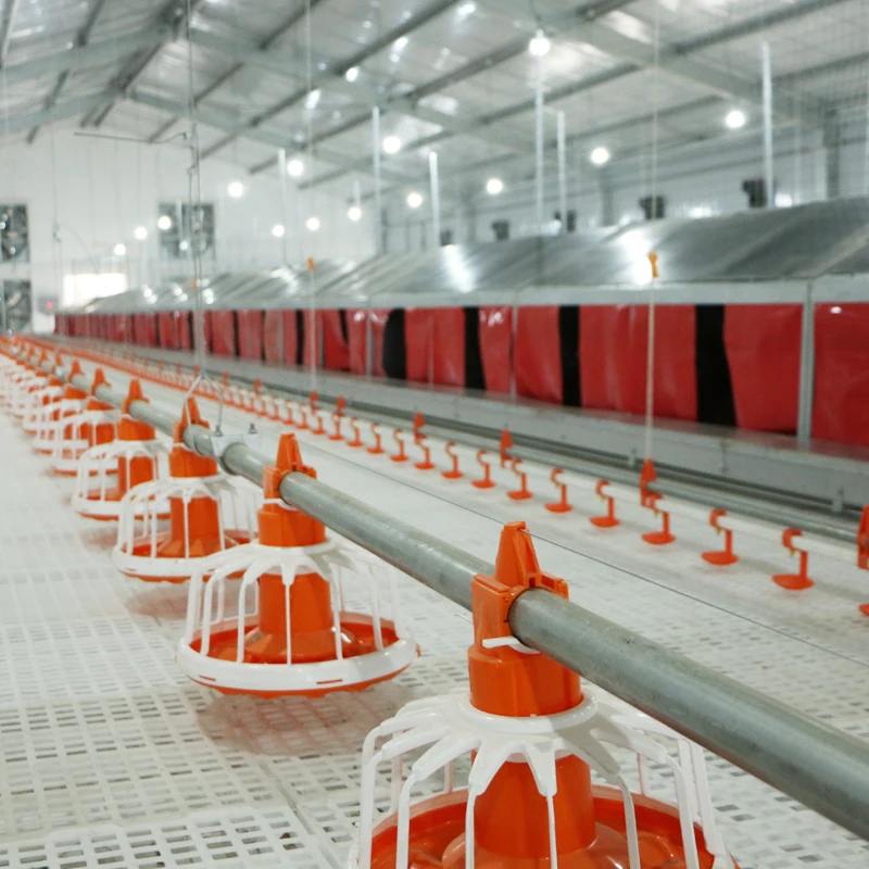 Автоматическая раскладка гнездо для сборщика курицы разведения большая коробка 160 куриц