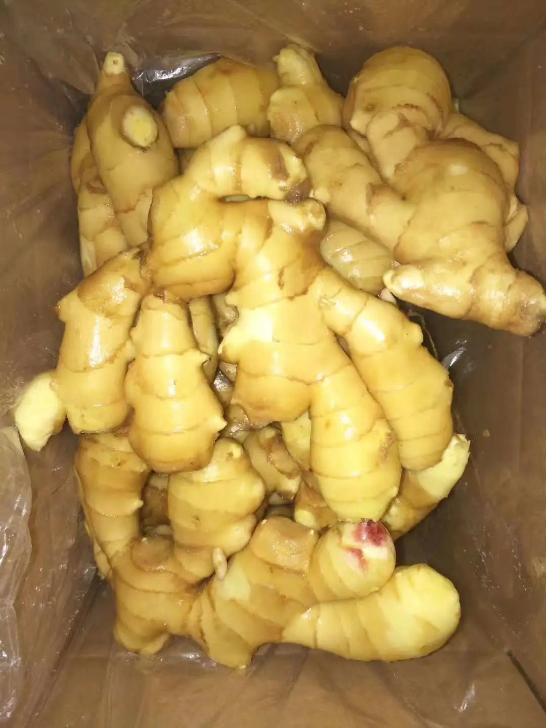 
China mature ginger 