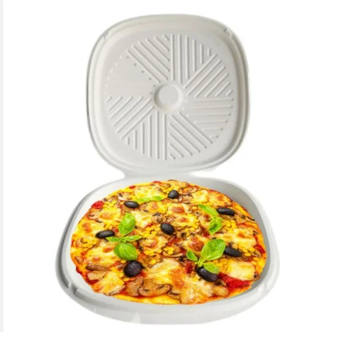 Customized Eco Friendly Compostable Sugarcane Pulp Lunch Box Disposable Food Packing Pizza Box with Lid