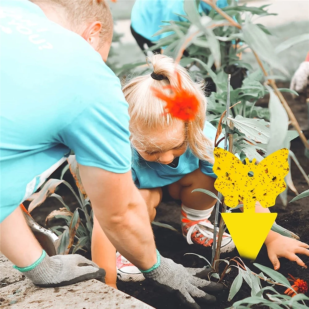 High quality durable using various blue board fly glue trap