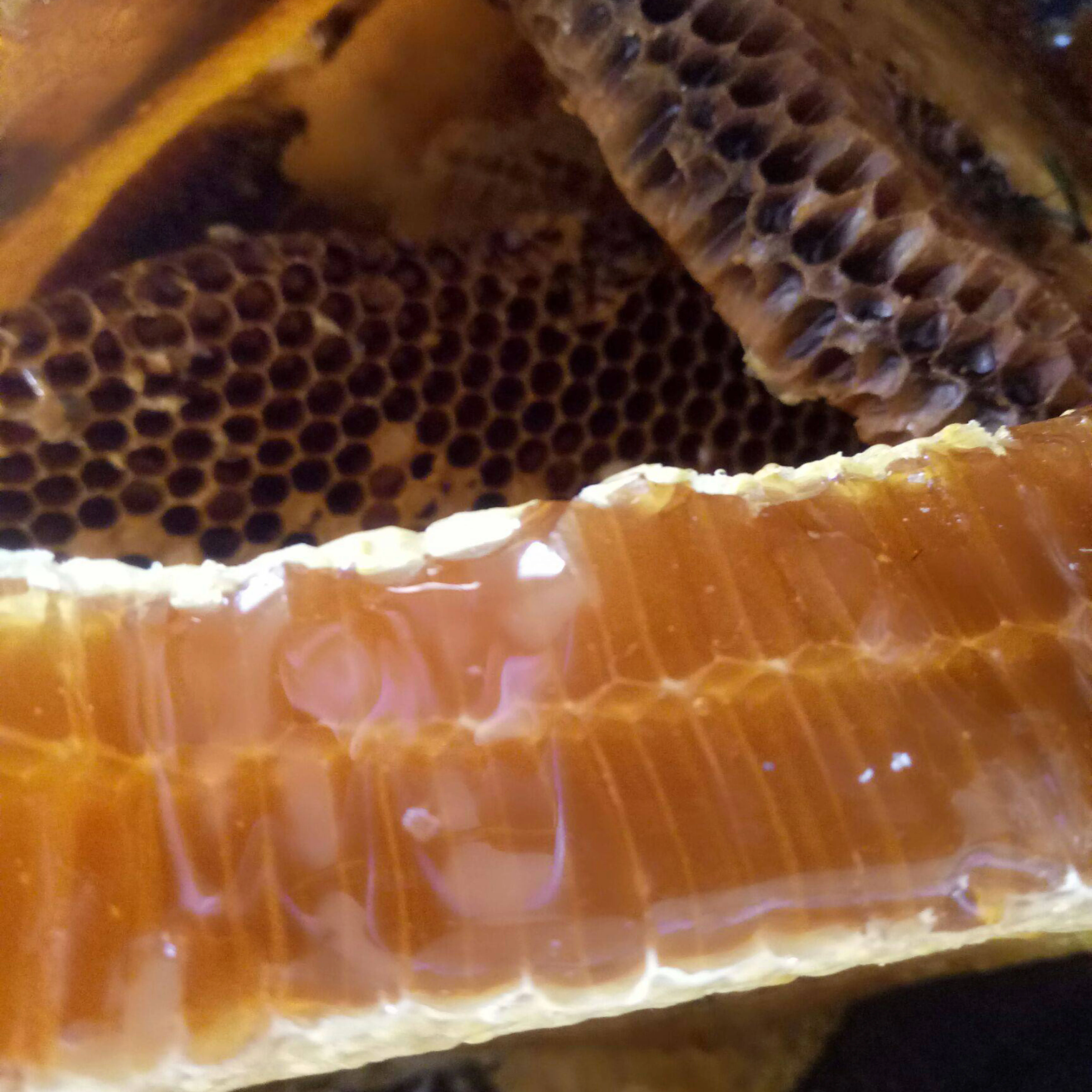 Meifang Food 12 Months Shelf Life Royal Honey Vip Pure Honey Vital High Quality From China