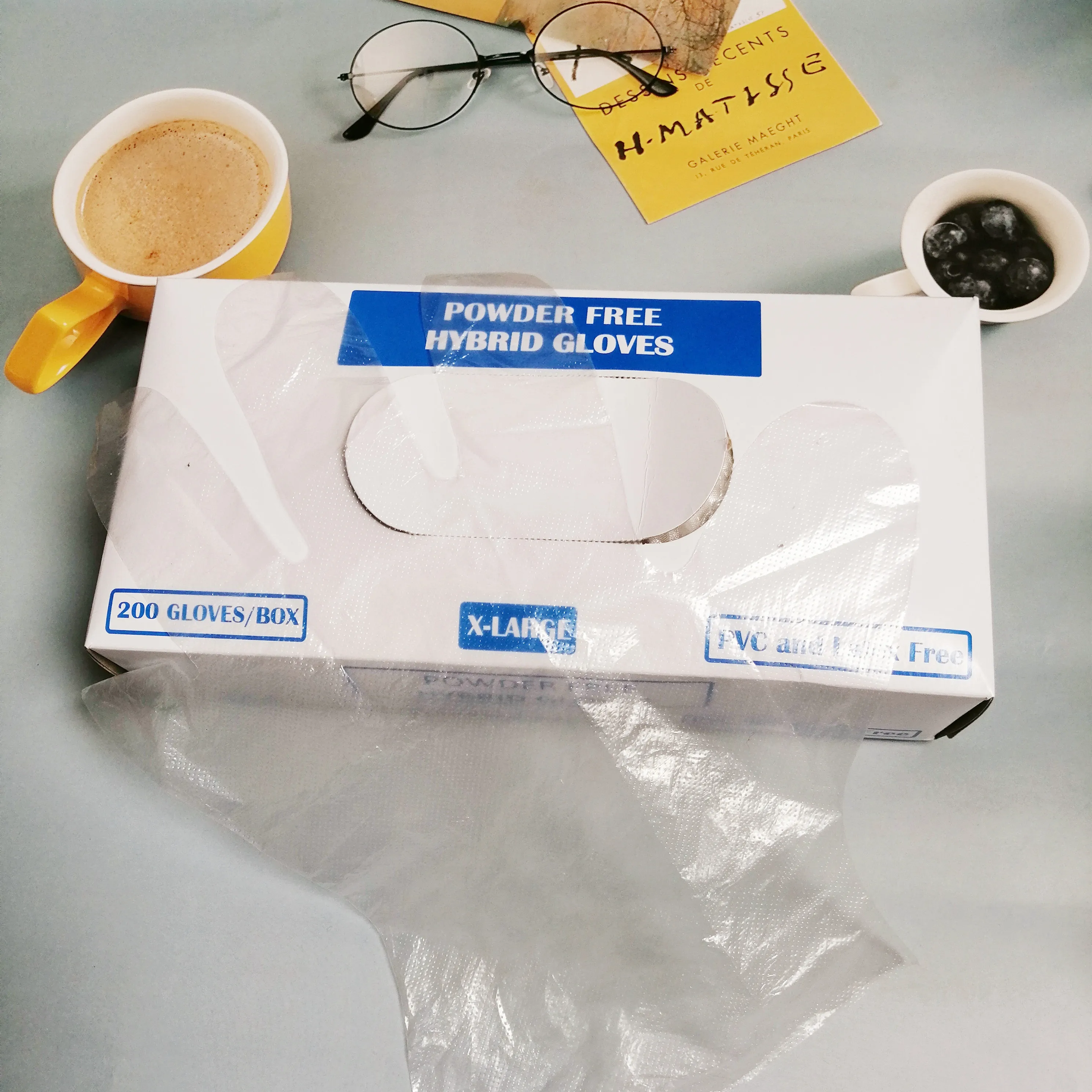 Factory wholesale CPE Food Service Gloves plastic disposable glove LDPE Blue and transparent