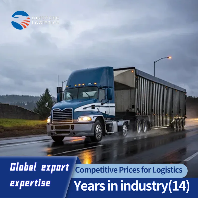 agent china  sea shipping China Freight  To Usa/Canada/Australia/Mexico/japan Fba Shipping International Courier Service