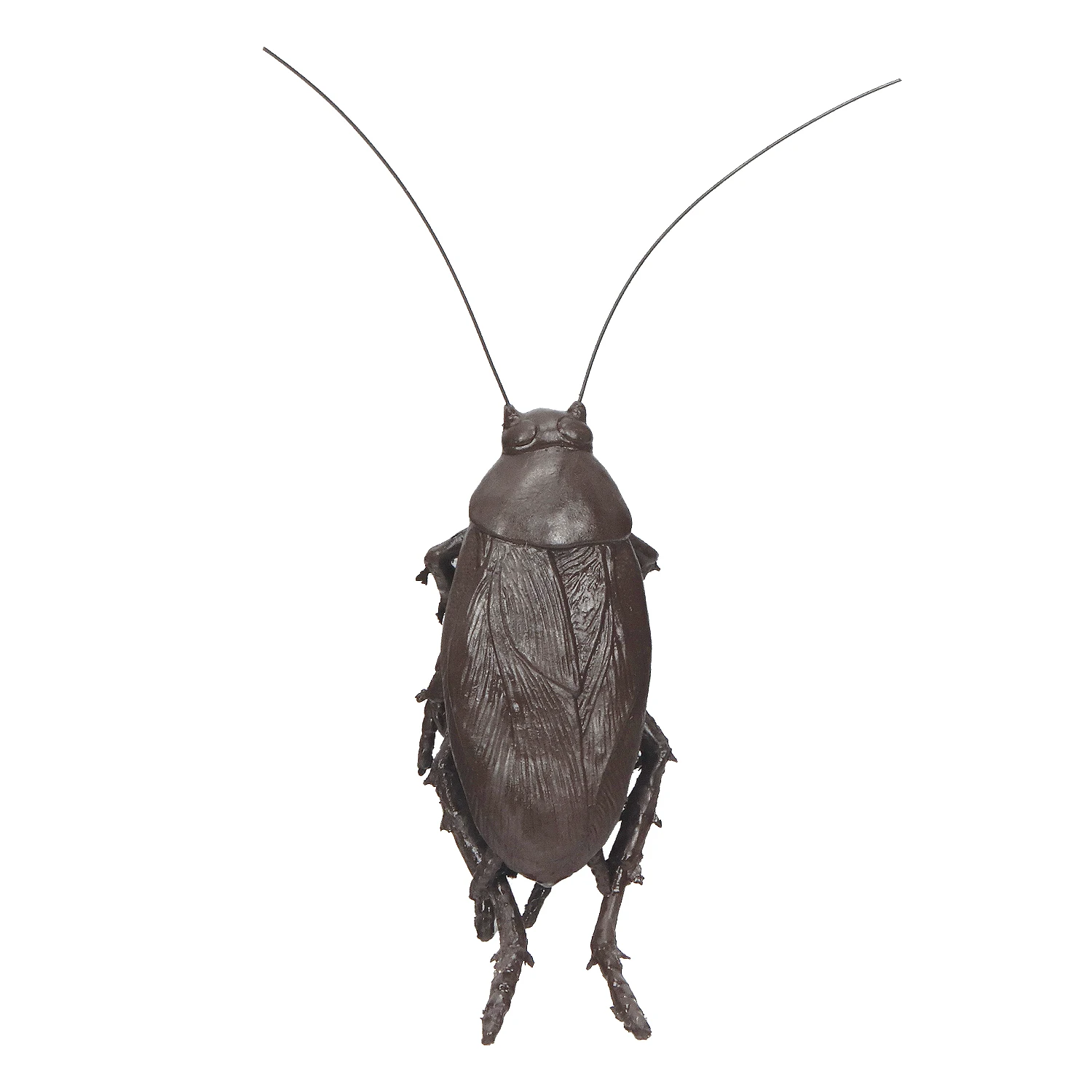 
Molezu naughty toys big cockroach halloween home decor halloween decoration party supplies 