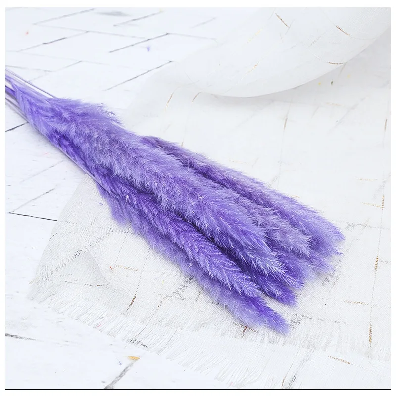 15pcs/bundle  60CM Dried pampas grass Eternal flower Amazon hot sales Decorative Flowers & Wreaths length cuttable