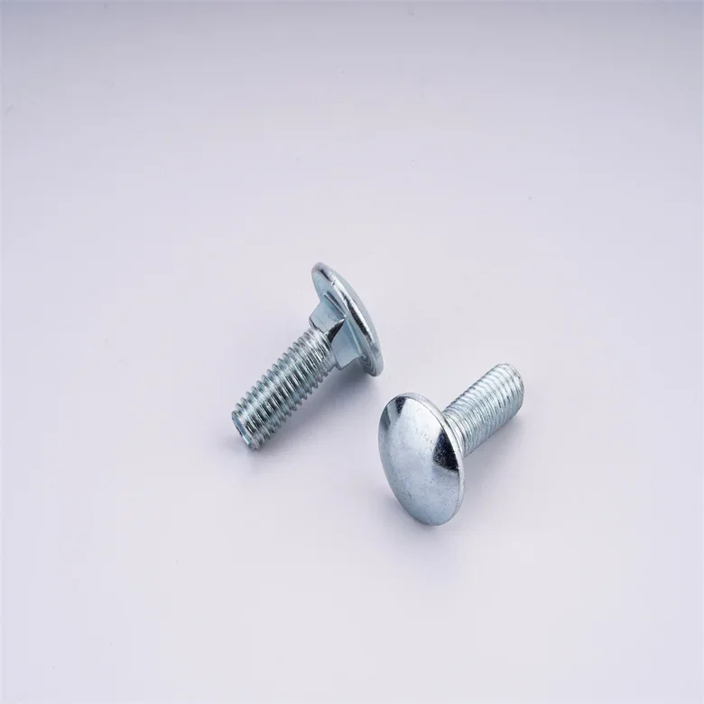 High quality bolt Stainless Steel 304/316 T Bolt T head bolt