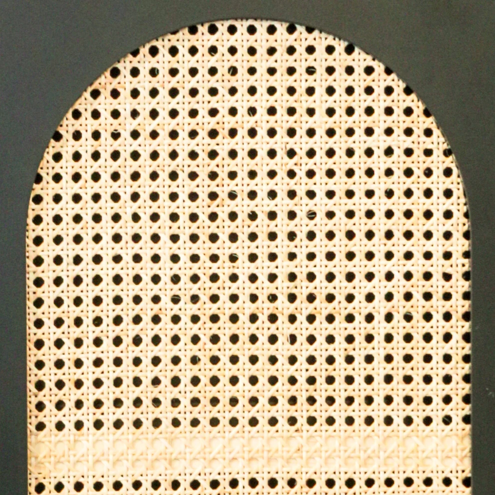 Custom High End Living Room Cabinets Double Door Pe Rattan Storage Cabinet Wooden Black Cane Rattan 2 Door Cabinet