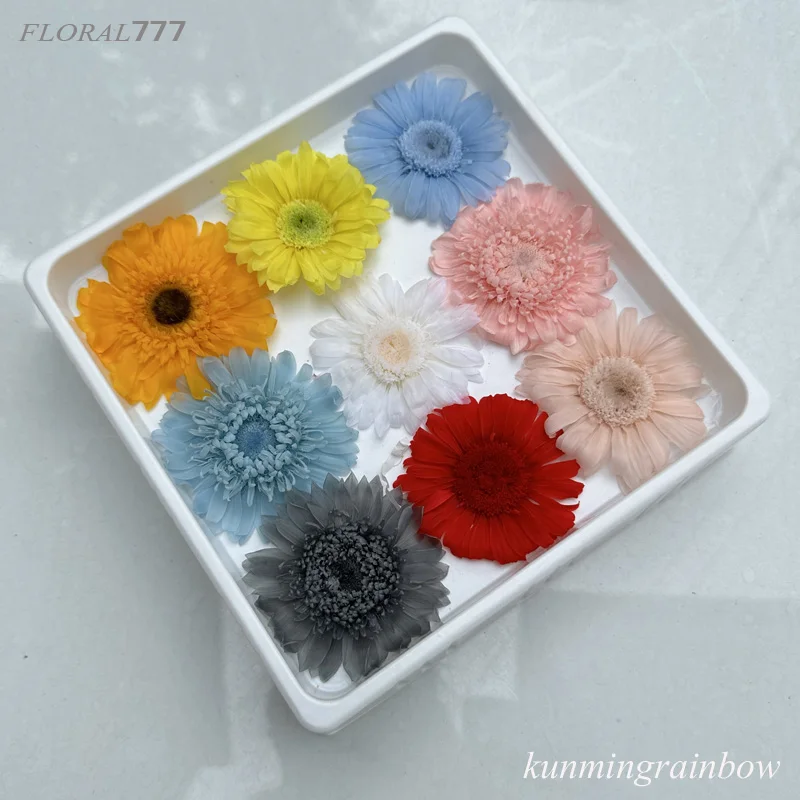 100% Natural Everlasting Preserved Gerbera Daisy Flowers For Floral arrangement