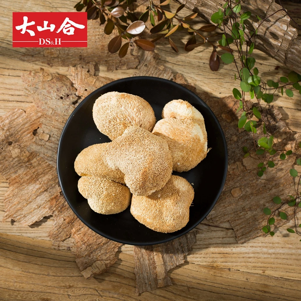 Натуральный высушенный Hericium грибы Hou Tou Gu