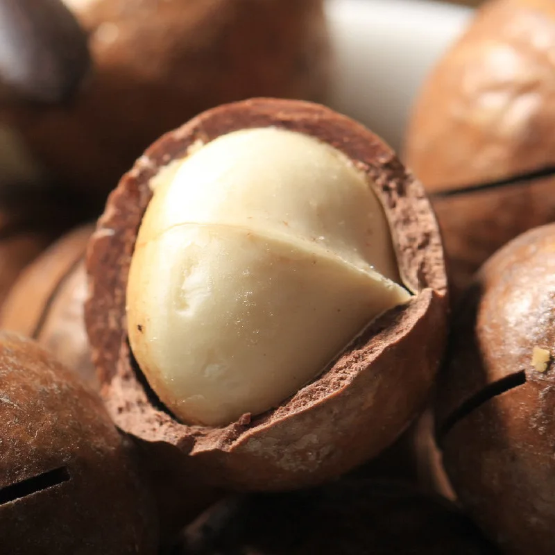 High Quality 100% Organic Macadamia Nuts Seeds Roasted In Shell Raw Macadamia Nuts