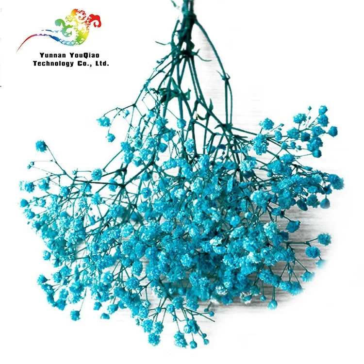  2020 Новое поступление сушеных консервированных гипсофил детский цветок на дыхание 30-40 см для подарков день Святого Валентина и украшения дома офиса