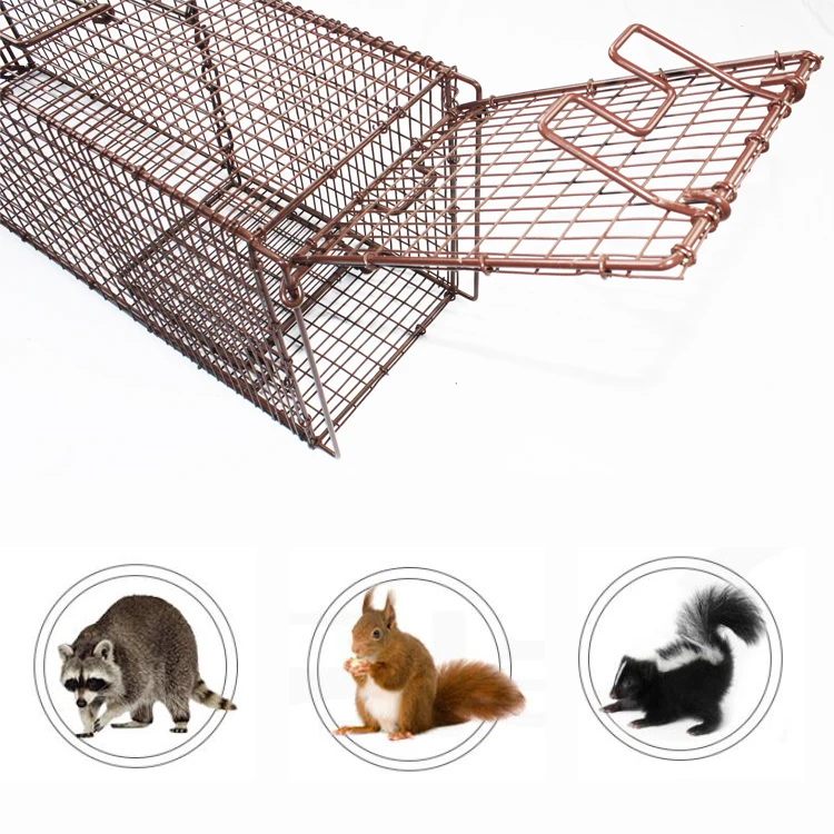 Best Seller Small Mouse and Squirrel Cage Trap Top-Entry Live Animal Marten Trap Eco-Friendly Iron Pest Control for Rats