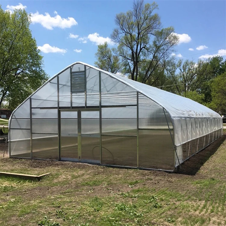 FM Cost-effective Agricultural Arch Greenhouse Vegetable Cultivation Green House Plastic Cover Material