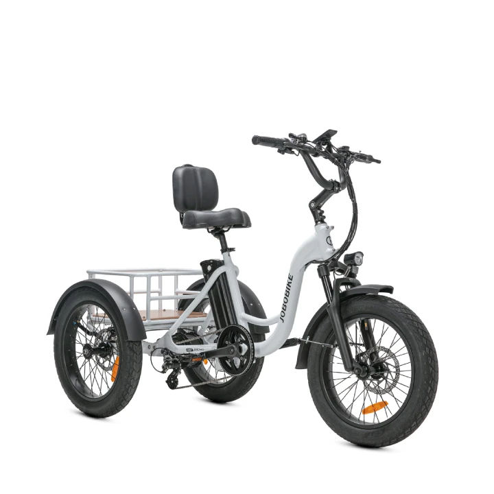 Factory-Produced 3-Wheel Electric Cargo Bike for Adults 500W 48V Electric Tricycles Rear Carrier Lithium Battery Rear Hub Motor