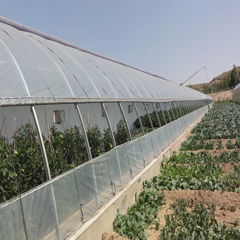 Solar plastic PO film Tomato Greenhouse with drip irrigation system