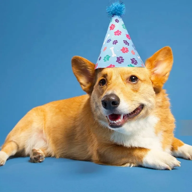 Birthday Party Accessories Dog Party Hat Pet Cap