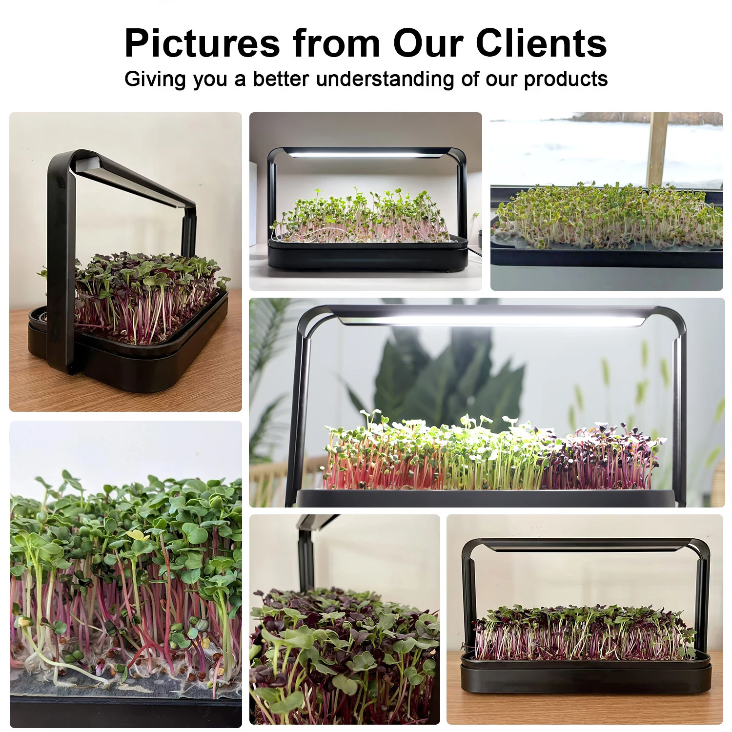 Garden sarter kit smart lettuce hydroponics lettuce grow indoor kit system