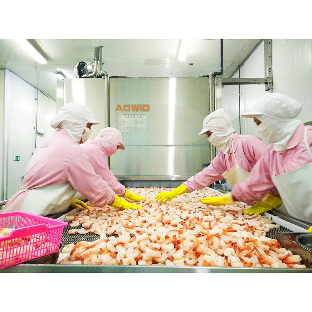 Individual Quick Freezing Machine Tunnel Freezer IQF