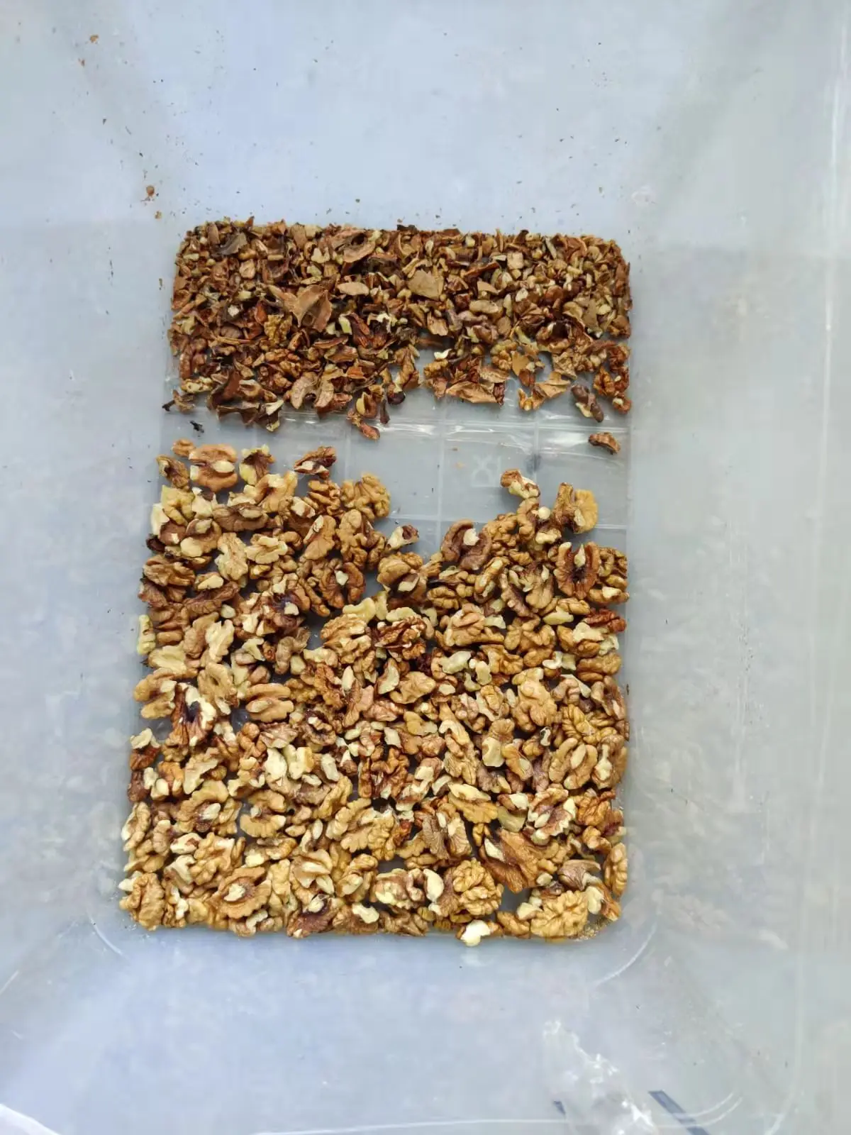 CCD Oat Flakes  Color Sorter Wholesale Color Sorting Machine For Grain Cereal walnut color sorting machine