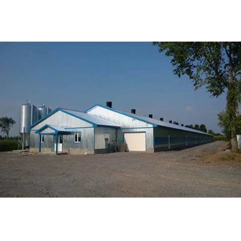 Сборная стальная конструкция строительный металлический каркас для птицеводческой фермы сборная курятника с полным комплектом оборудования птицеводства