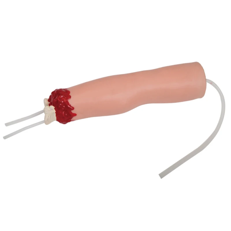 Medical Science Human Upper Limb Trauma Amputation and Hemostasis Nursing Training Model