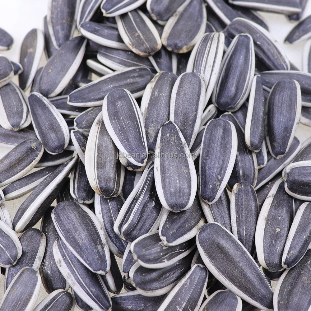 China Origin Factory Customize Dry Giant Sunflower Seeds Melon Seeds Sunflower Seeds Raw Material For Oil Extraction