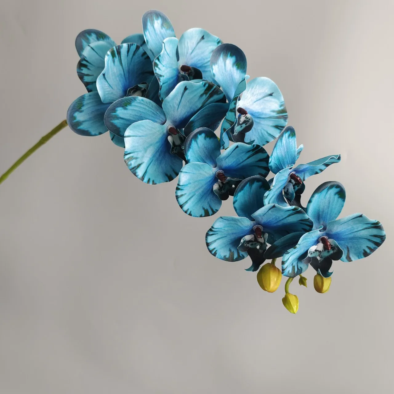 Real Touch Phalaenopsis Flowers   Ultra Realistic Fuchsia Artificial Orchids for DIY Centerpieces, Home  Event