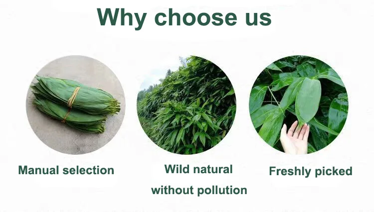 Food contact safety nature fresh zongye bamboo dry leaf