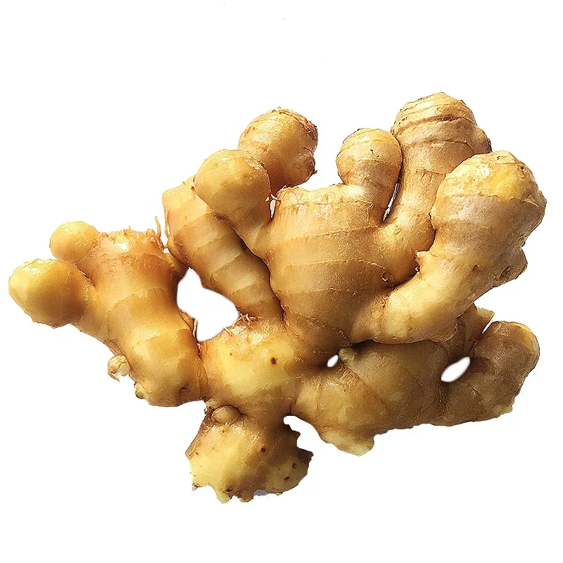 New Crop Ginger To Miami Export Price 1kg China Mature Fresh Ginger For Sale