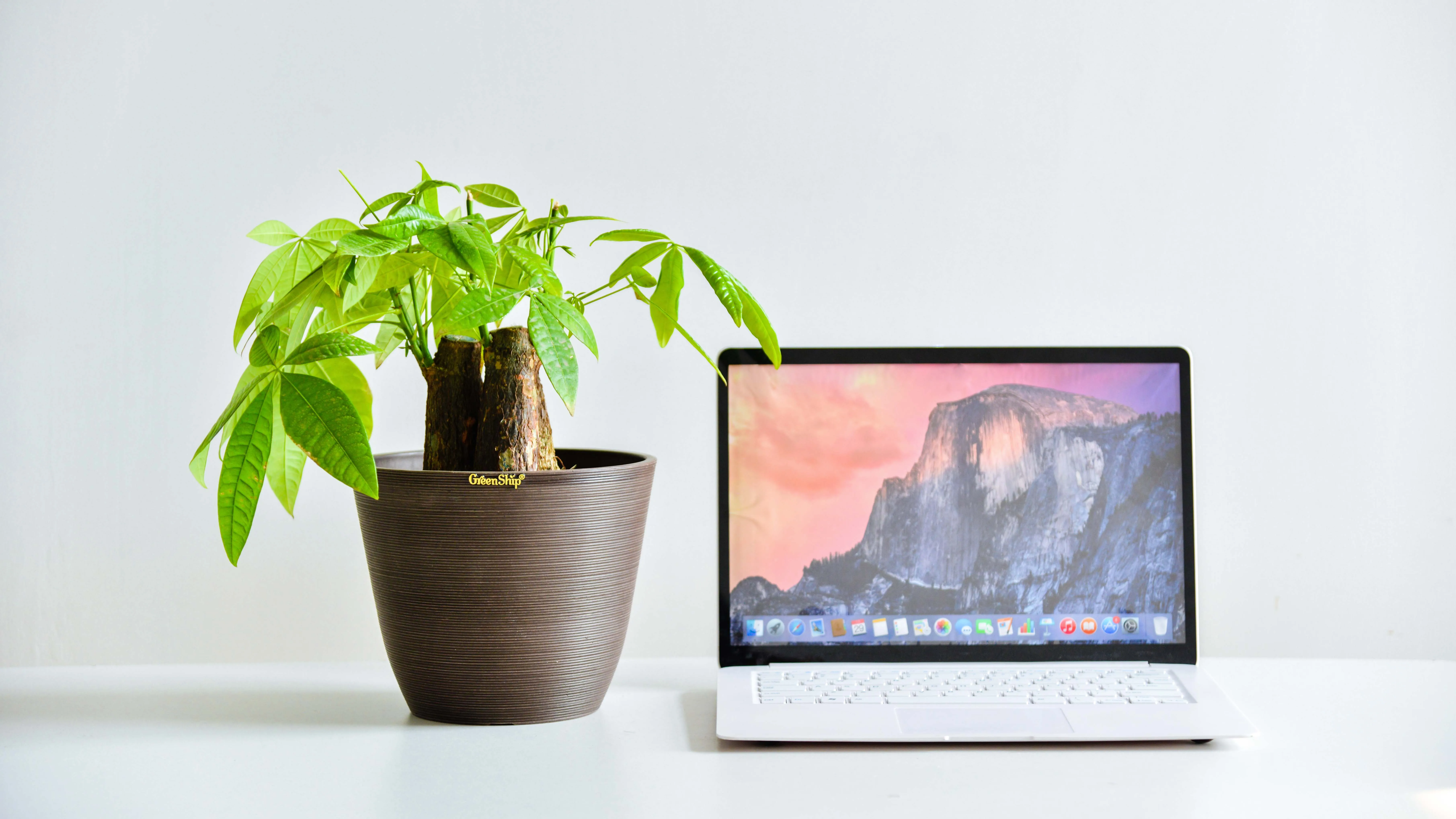 Greenship elegant luxury cylinder planter smart plants container flower pots