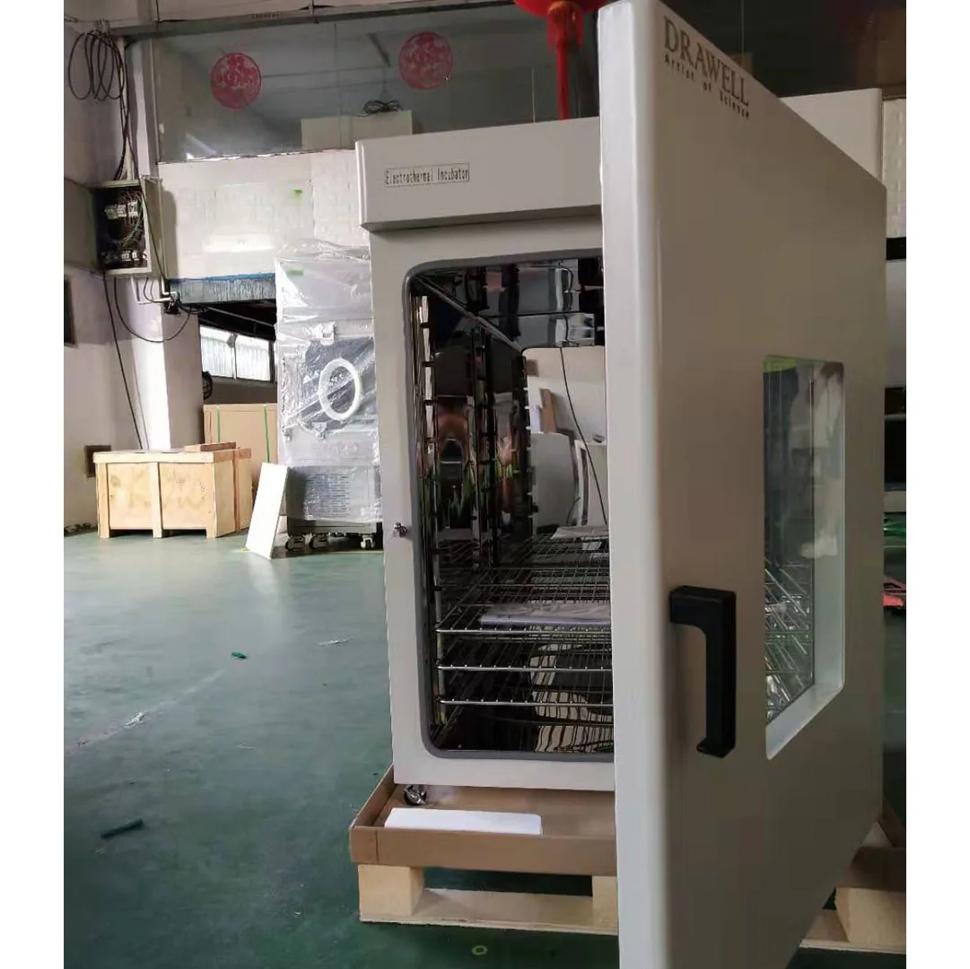 Laboratory Constant Temperature Direct Heat Incubator