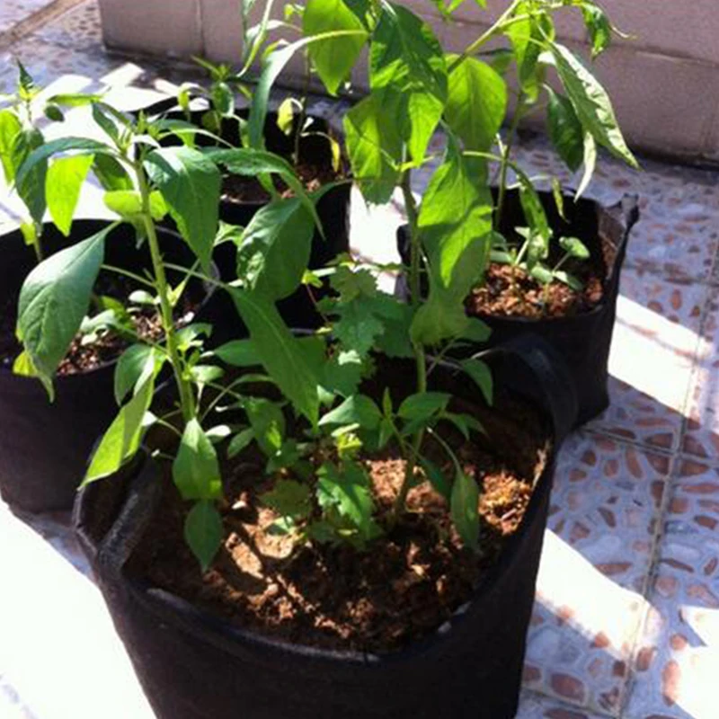 5 Pack 15 Gallons Heavy Duty Thickened Nonwoven Fabric Pots Grow Bags with Strap Handles Tan