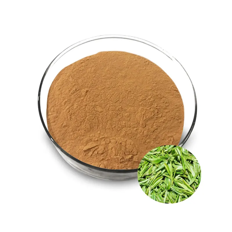 10%20%30% Lipid Soluble Tea Polyphenols Green Tea Extract