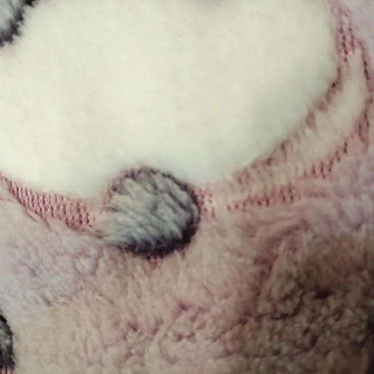 
Super soft double-side offset printing coral fleece fabric for baby blanket 