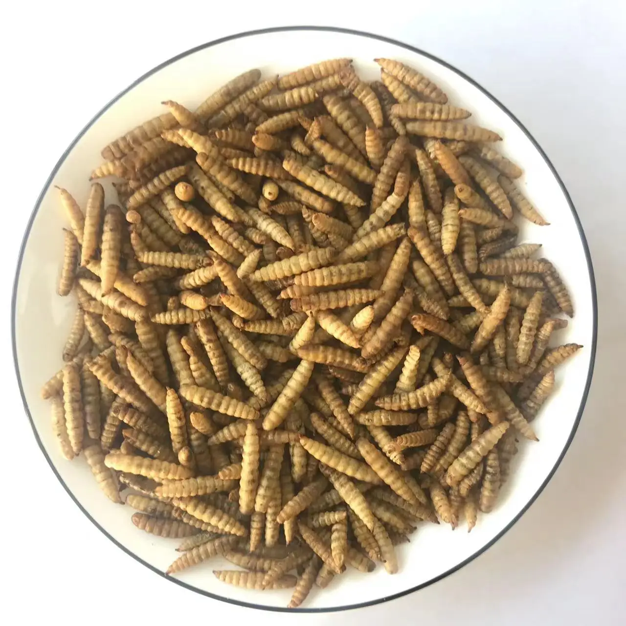 Dried Maggot BSFL Black Soldier Fly Larvae Dry Maggot Insect Protein Poultry Feed