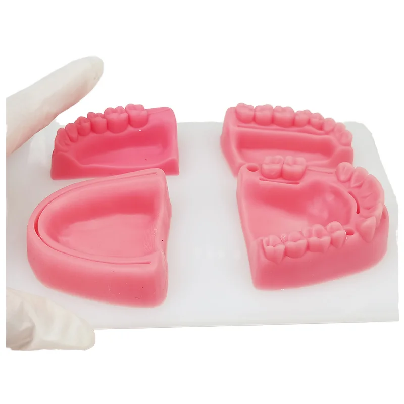 TUOJIN Simulation Oral Suture Models With Acrylic Plate Silicone Students Practice Suture Model